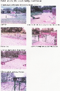 fotoschool1.jpg